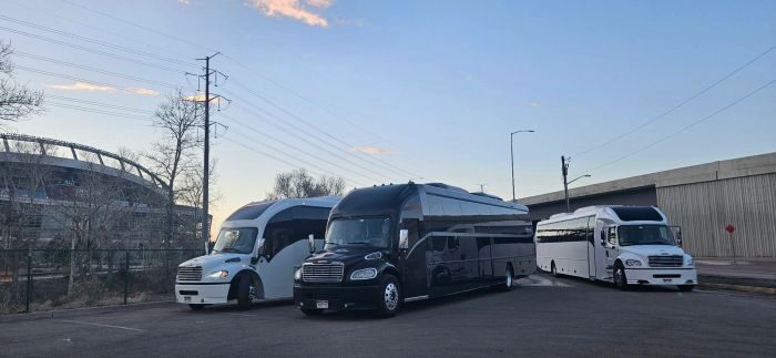 Black limo coach – Castle Rock party bus rental
