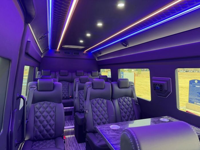 Executive Sprinter seating – Castle Rock party bus rental