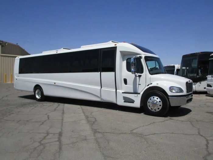 Large white party bus – Castle Rock party bus rental