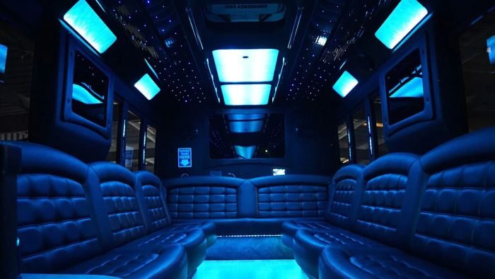 Wraparound seating and blue LED lights – Castle Rock party bus rental