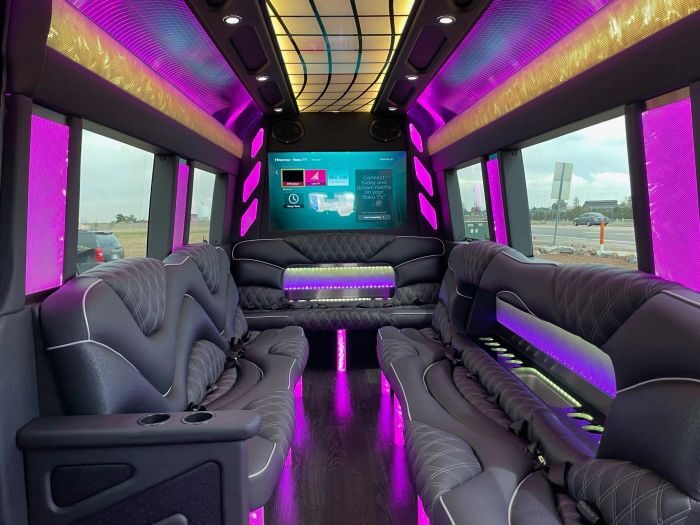 Sprinter limo lounge with TV – Castle Rock party bus rental