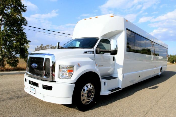 White party bus – Castle Rock party bus rental