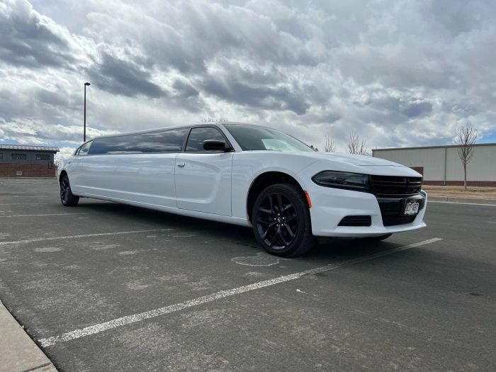 White stretch limo – Castle Rock party bus rental